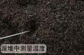 制茶專用電加熱蒸汽發(fā)生器