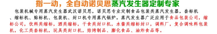 3-6-9kw包裝機(jī)械小型蒸汽發(fā)生器簡(jiǎn)介