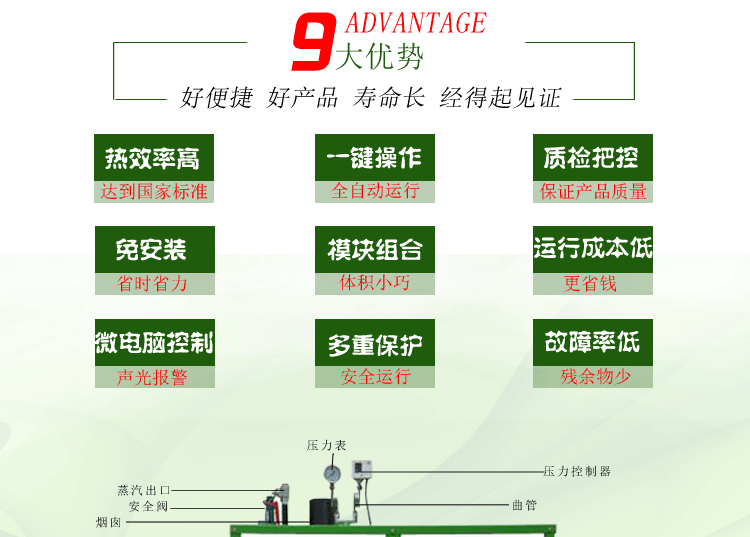 生物質(zhì)蒸汽發(fā)生器